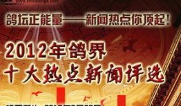 今日十大热点新闻,聚焦时事脉动，洞察社会焦点